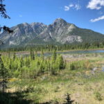 Banff PRIVATE Guided Nature Walk + Transportation - 2.5H - Who Is This Tour Best For?