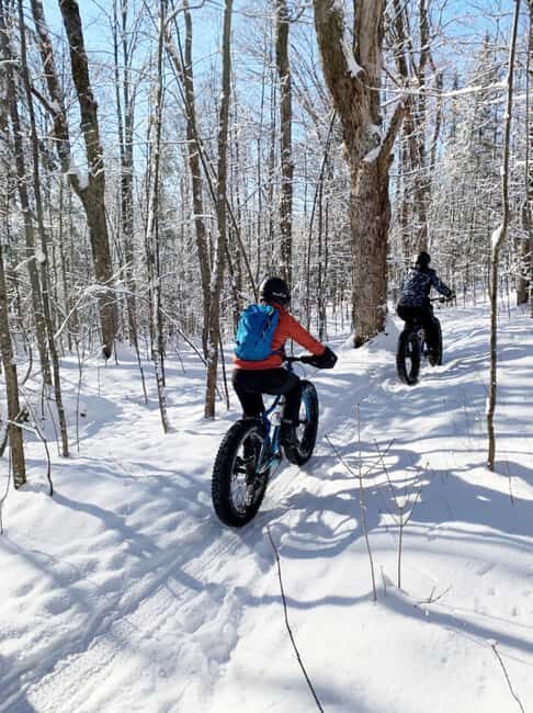 Banff Top Sights E-Fat Bike Tour  All Skill Levels - Why This Tour Is a Great Choice