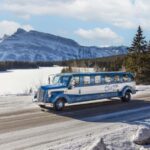 Banff: Winter Tour with Dinner & Nightrise at Banff Gondola - Detailed Review of the Tour