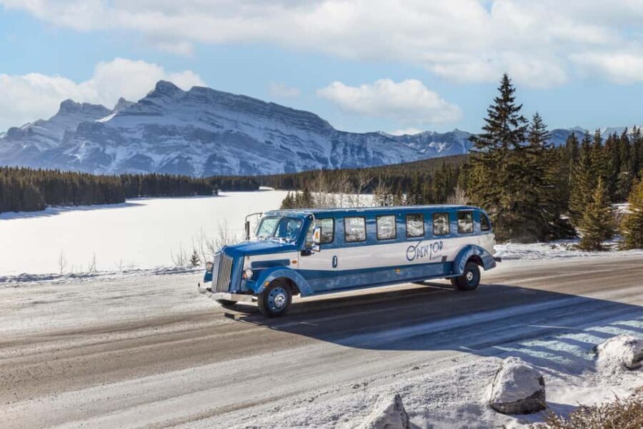 Banff: Winter Tour with Dinner & Nightrise at Banff Gondola - Detailed Review of the Tour