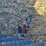 Bar: City Tour with Museum and Old Olive Tree Visit - Who Would Love This Tour?