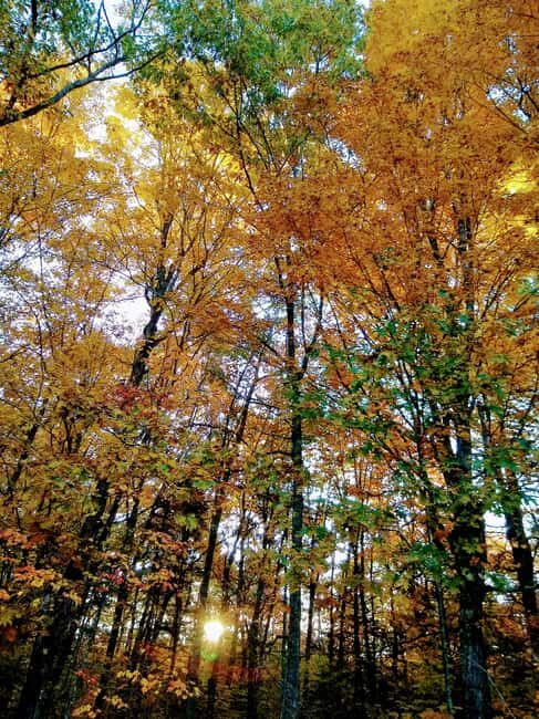 Bar Harbor: Acadia National Park Autumn Leaf Private Tour - What Makes This Tour Stand Out