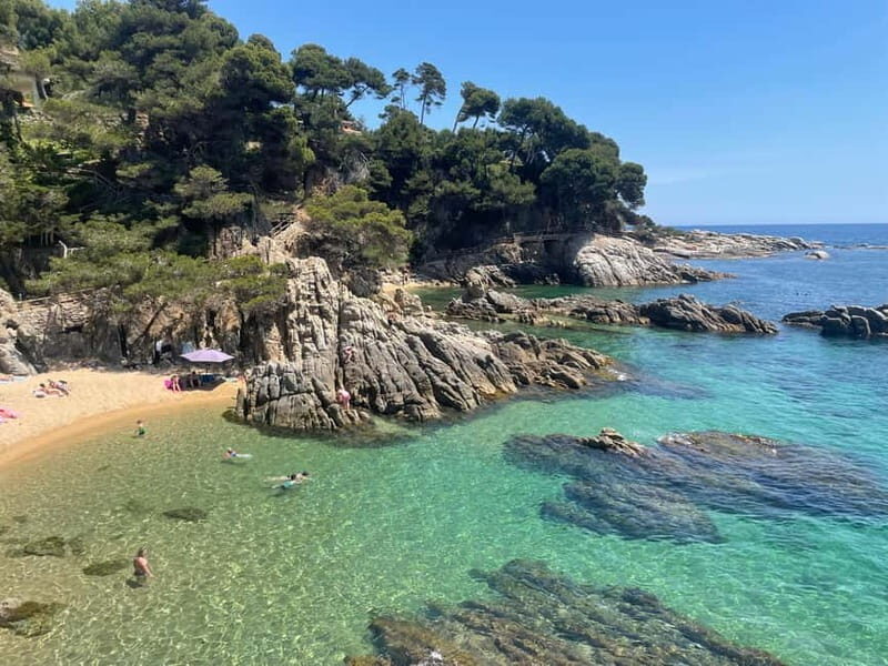 Barcelona Adventure: Hike Snorkel and Jump in Costa Brava - Snorkeling and Free Time in the Bay