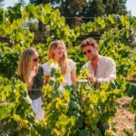 Barcelona: Alella Wine Tour with Tasting & Vineyard Picnic - Why This Tour Is a Great Value