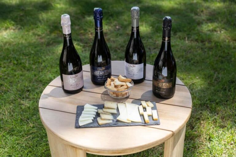 Barcelona: Cavas Hill - Winery Tour & Cheese Tasting - Discovering Cavas Hill: Location and Setting