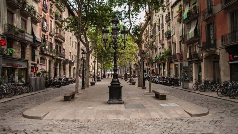 Barcelona: El Born Guided Walking Tour with Picasso Museum - Final Thoughts