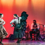 Barcelona: Flamenco Show at the Theater - The Performers: Passion & Skill