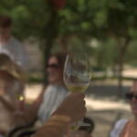 Barcelona: Luxury Wine Tour to Penedès with Tasting & Tapas - The Practical Side: What to Know Before You Go