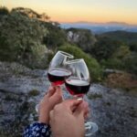 Barcelona: Montjuïc Tour with a glass of Wine - The Value of This Tour