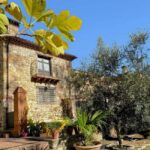 Barcelona: Montserrat & One More Thing - You Choose - The Experience Through the Eyes of Past Travelers