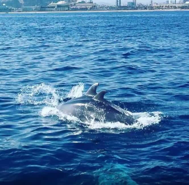 Barcelona: Sailing tours with open bar and snacks - Why This Tour Offers Great Value