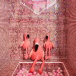 Barcelona: Sensory Dinner Signature Cocktail and Live Show - Final Thoughts