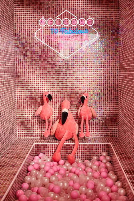 Barcelona: Sensory Dinner Signature Cocktail and Live Show - Final Thoughts