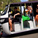 Barcelona: Small Group Tuk Tuk Tour - What Is the Barcelona Small Group Tuk Tuk Tour?