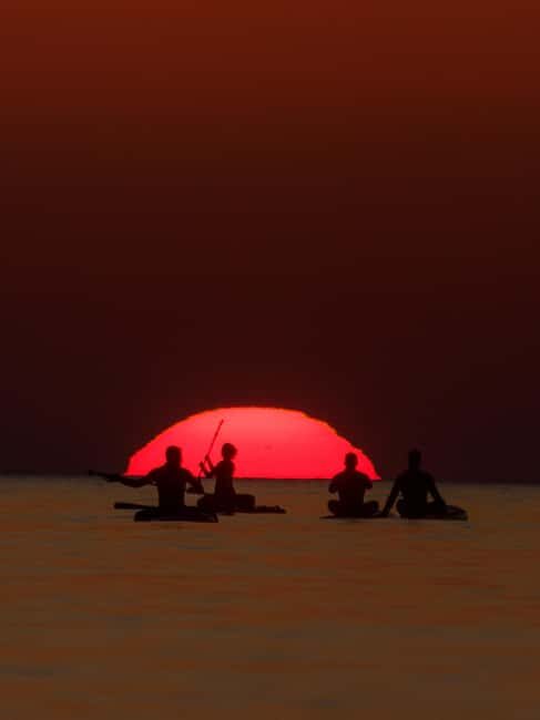 Barcelona: Sunrise Paddleboarding Tour w/Photos & Breakfast - What You Can Expect from This Tour
