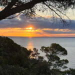 Barcelona: Tossa de Mar & Costa Brava very small group - Why This Tour Works Well