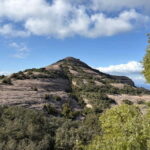 Barcelona walking tour through World Expos & Olympic Games - Authentic Experiences and Insider Tips