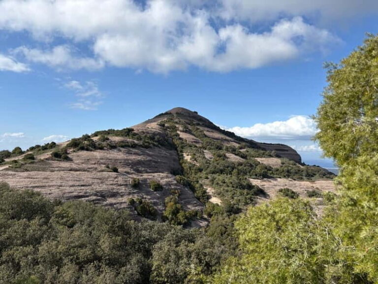 Barcelona walking tour through World Expos & Olympic Games - Authentic Experiences and Insider Tips