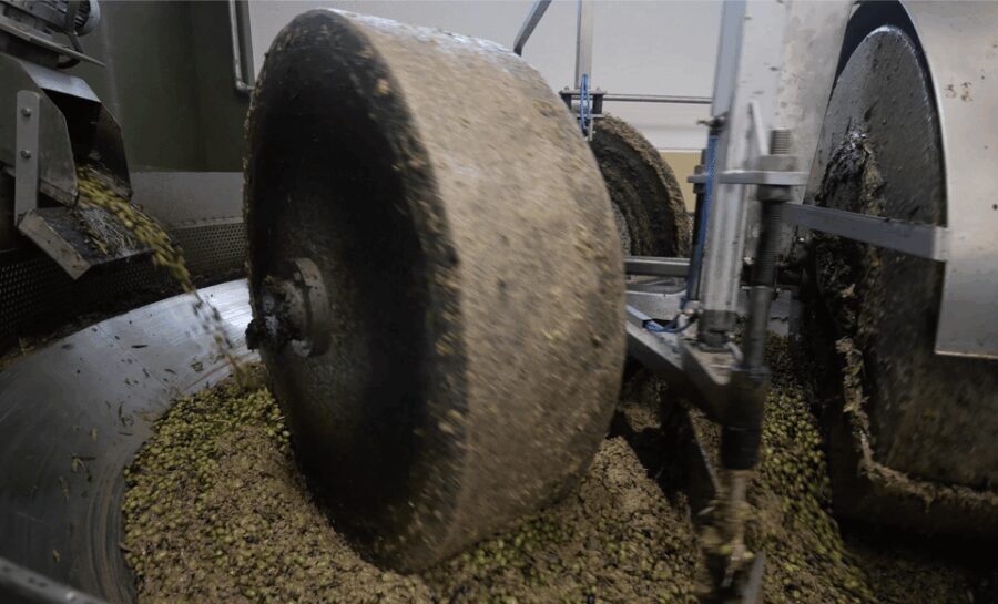 Barletta-Andria-Trani: oil mill tour and oil tasting - The Itinerary in Detail