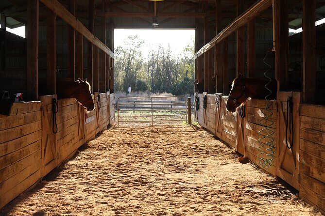 Barn Day for Little Cowboys and Cowgirls - Why This Tour Is Worth Considering
