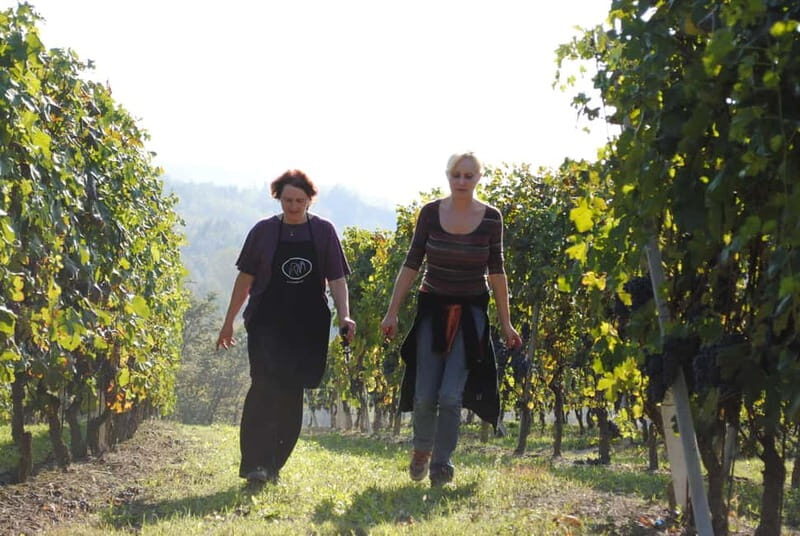 BAROLO: GUIDED VISIT TO THE WINERY AND TASTING WITH THE PRODUCER - An In-Depth Look at the Tour