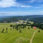 Basel: Black Forest, Waterfall &Mountain, Lakes Private Tour - A Detailed Look at the Black Forest Private Tour