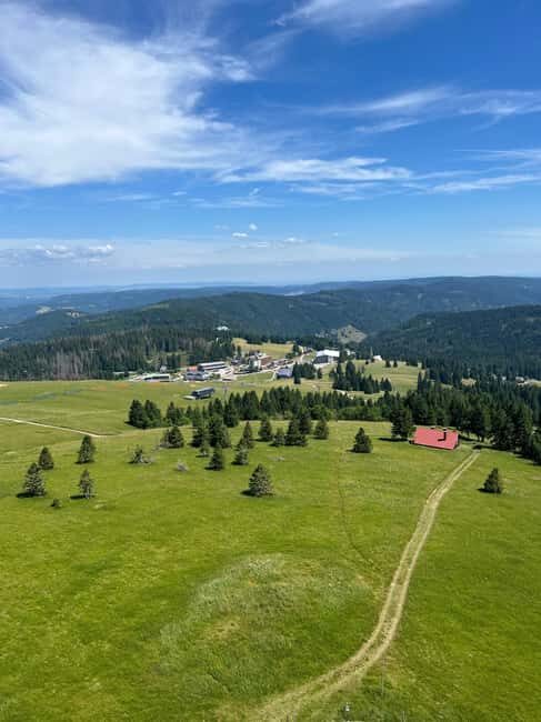 Basel: Black Forest, Waterfall &Mountain, Lakes Private Tour - A Detailed Look at the Black Forest Private Tour