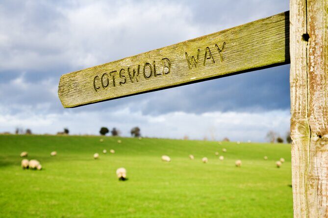 Bath and Cotswolds Guided Tour from London - Practical Details and What to Expect