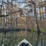 Baton Rouge: Kayak Tour Through the Historic Atchafalaya - The Environmental and Cultural Connection