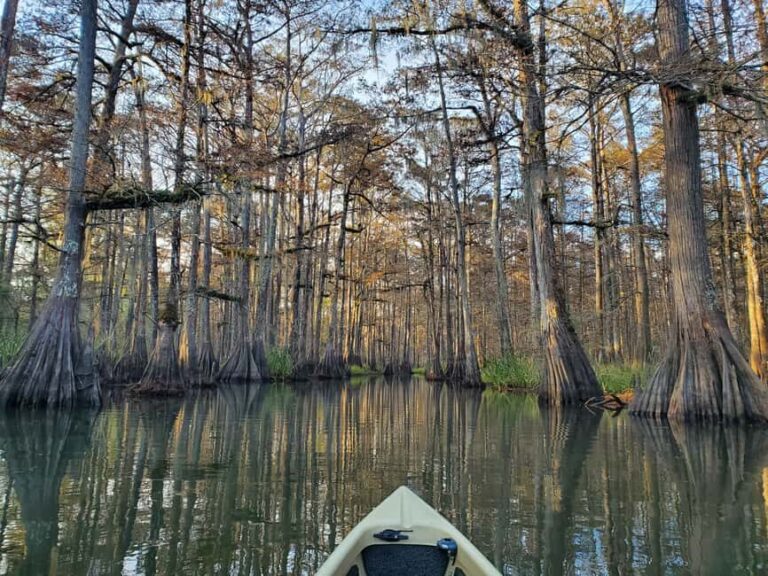 Baton Rouge: Kayak Tour Through the Historic Atchafalaya - The Environmental and Cultural Connection