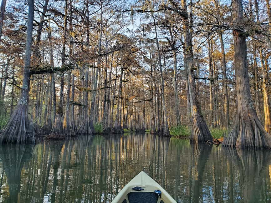 Baton Rouge: Kayak Tour Through the Historic Atchafalaya - The Environmental and Cultural Connection