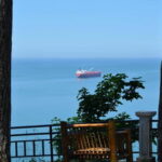 Batumi: Botanical Garden, Petra Fortress and Miniatures Park - Detailed Breakdown of the Tour