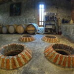 Batumi: Exploring Botanical Garden + Family Wine Tasting - Why This Tour Works