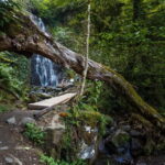 Batumi: Makhuntsti, Machakheta, & Mirveti Tour with Lunch - Why This Tour Offers Real Value