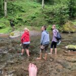 Batumi: Sweet Excursion and Mtirala Forest - Why This Tour Is Special