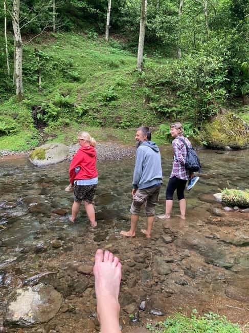 Batumi: Sweet Excursion and Mtirala Forest - Why This Tour Is Special