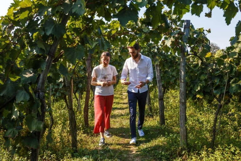 Batumi to Kutaisi, Wine & Dine - Exploring the Itinerary in Detail