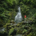 Batumi to Mtirala National park - Half day hiking group tour - What’s Included and What’s Not