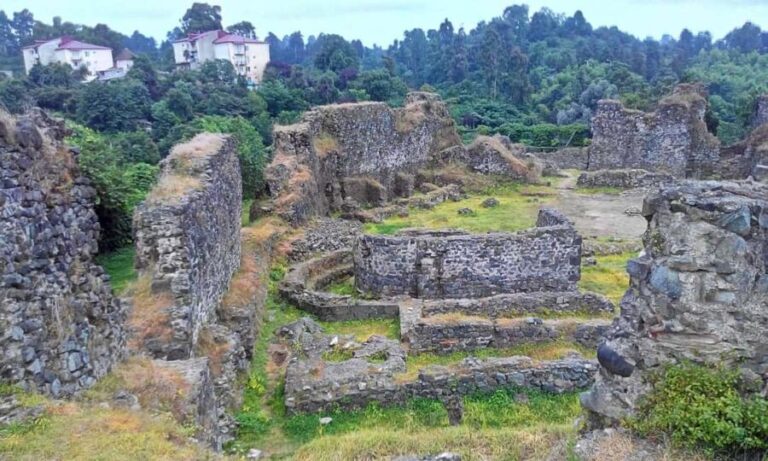 Batumi: Unforgettable tour through the mountains of Adjara - Practical Details and Value