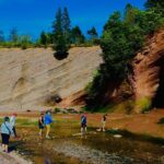 Bay Of Fundy Guided Tour - Exploring the Itinerary in Detail