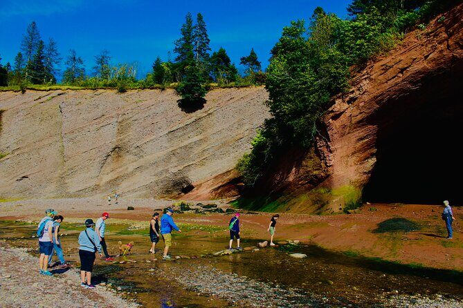 Bay Of Fundy Guided Tour - Exploring the Itinerary in Detail