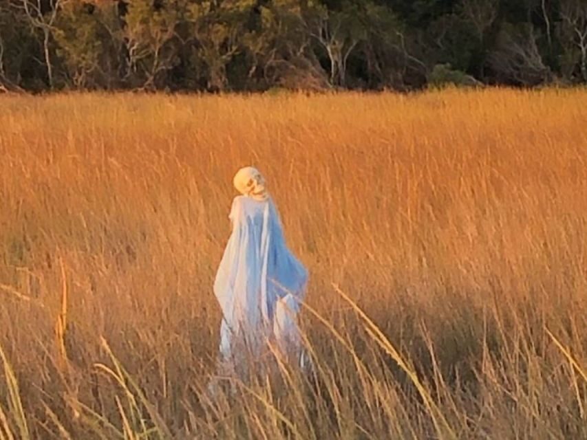 Bay Saint Louis, MS: The Haunted Bayou Cruise - What’s Included and What’s Not