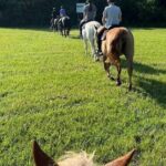 B&C horseback riding in nature and Keeneland racetrack. - The Experience from Past Travelers’ Perspectives