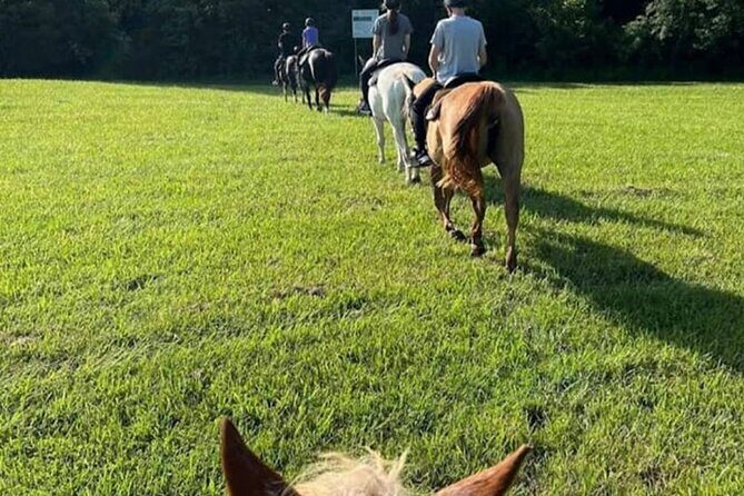 B&C horseback riding in nature and Keeneland racetrack. - The Experience from Past Travelers’ Perspectives