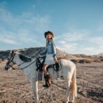 Beach and Desert Scenic Horseback Ride in Baja California Sur - What to Expect in Terms of Comfort and Practicalities