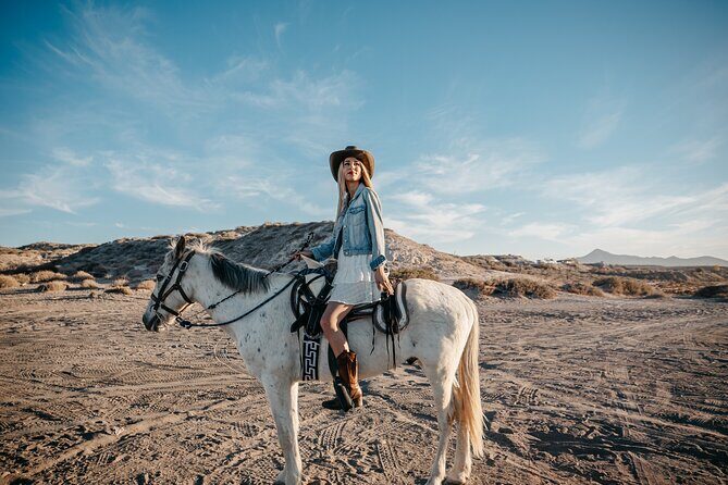 Beach and Desert Scenic Horseback Ride in Baja California Sur - What to Expect in Terms of Comfort and Practicalities