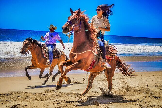 Beach and Desert UTV with Horseback Riding Experience - Authentic Experiences & Practical Tips