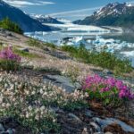 Bear Glacier Helicopter Tour with Landing - What Our Reviewers Say