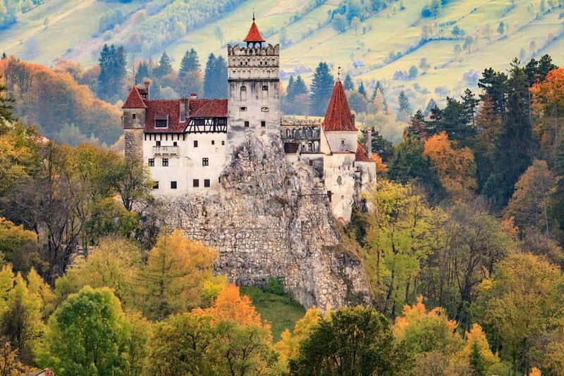 Bear Sanctuary, Dracula's Castle and Brasov | Private Tour - Why This Tour Offers Great Value