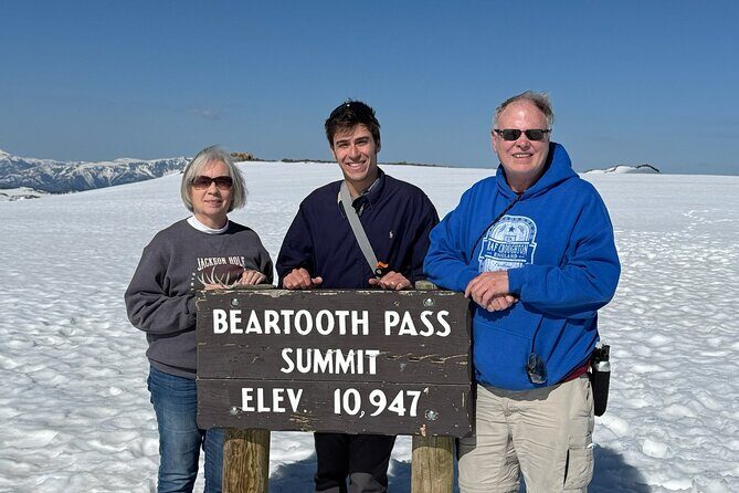 Beartooth Highway Private Tour With Wildlife Guide - What Makes This Tour Stand Out